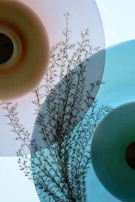 Transparences éphémères - Miscanthus 1.jpg